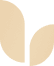 Logo NewLink Investment