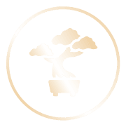 Logo An Ninh