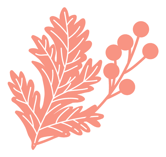 Ảnh Sợi 2