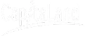 New Link Investment - Capitaland