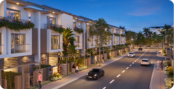 New Link Investment - Lĩnh Vực