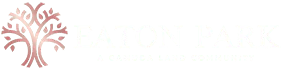 New Link